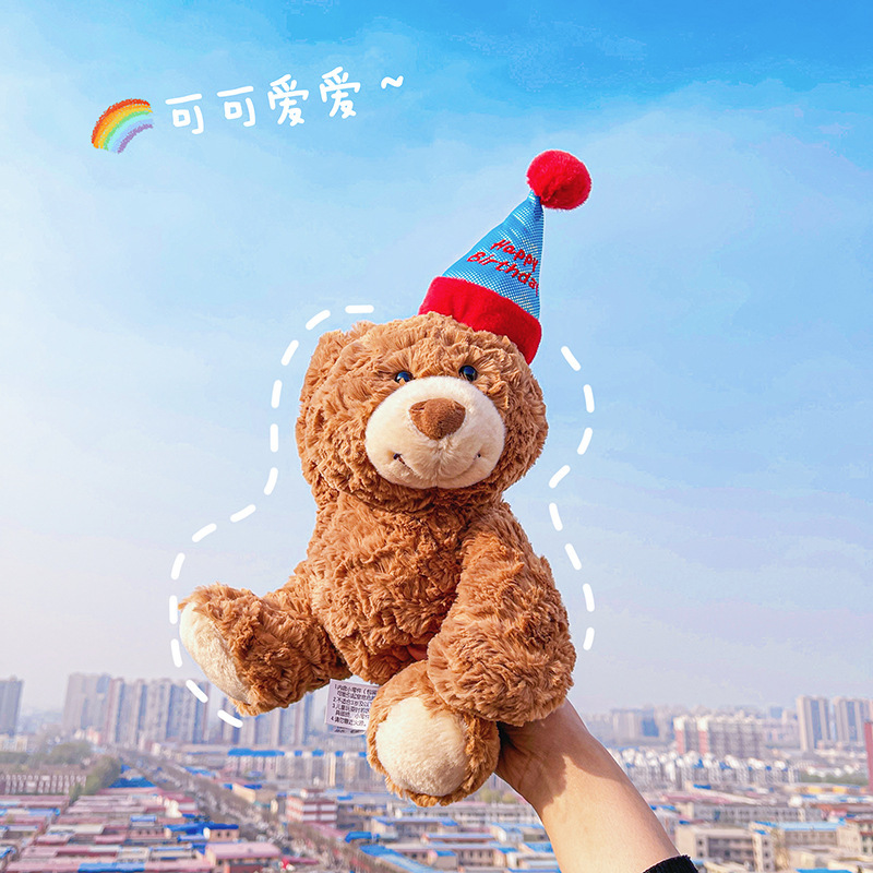 Foreign Trade Wearing A Hat Birthday Sitting Bear Holding Flowers Teddy Bear Doll Plush Toys Cross-Border Wholesale Girl Gifts Specification drawing