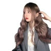 Cross-border best-selling wig, the same style as the female Internet celebrity's dyed and elegant long curly hair, breathable rose net high-temperature silk live-streaming supply Item Picture