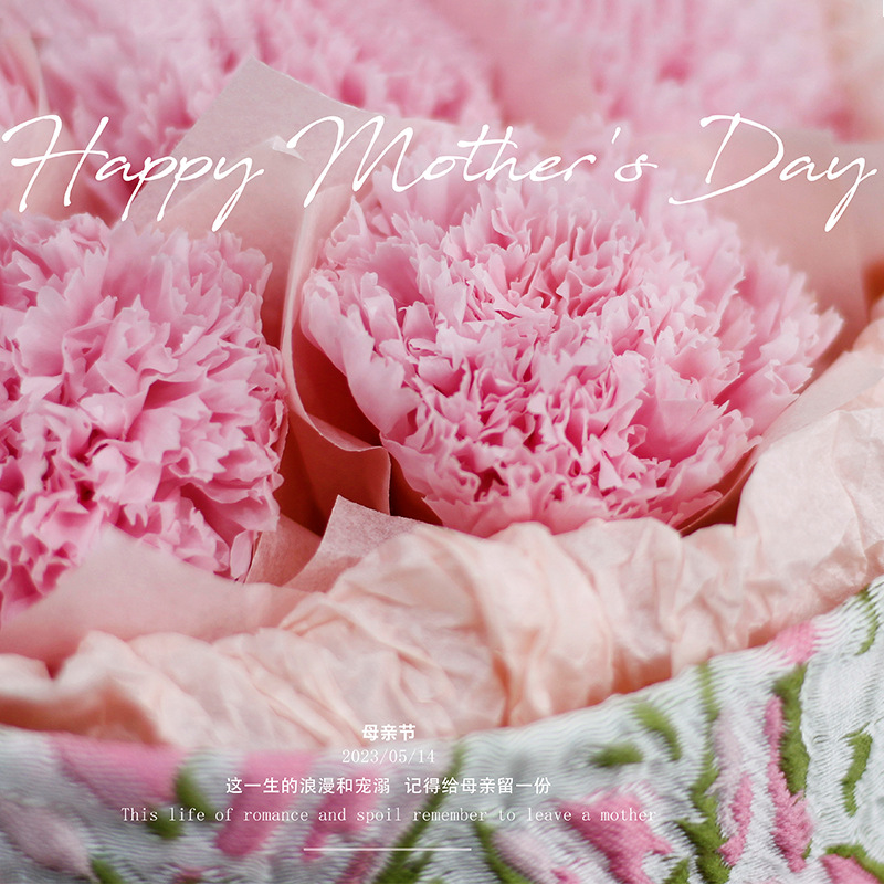 Mother's Day Gift Dopamine Flower Bouquet Eternal Flower Carnation Pearl Rose Gift Set Dried Flower Wholesale Application Scenario