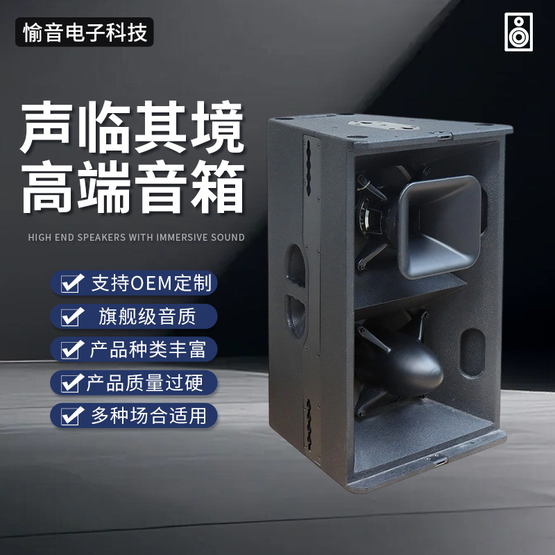 厂家直销T24N双12英寸远程全频酒吧舞台户外演出专业音箱