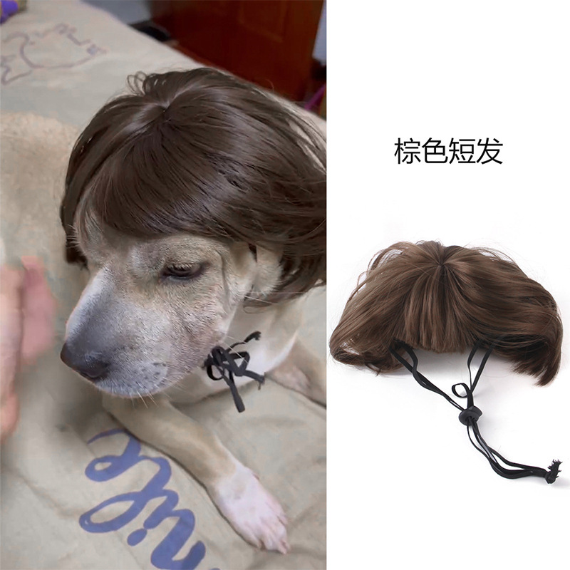 宠物假发狗狗假发跨境宠物用品万圣节宠物饰品卷发直发猫咪假发