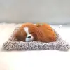 Plush simulation dogs that can bark, simulation sleeping dogs, car ornaments with bamboo charcoal bags to purify the air, home decoration gifts Application Scenario