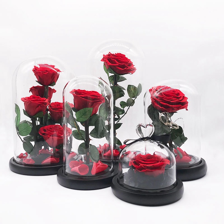 Eternal Life Flower Glass Cover Cork dust Micro landscape dust decoration Vase bouquet DIY dry flower glass cover full figure