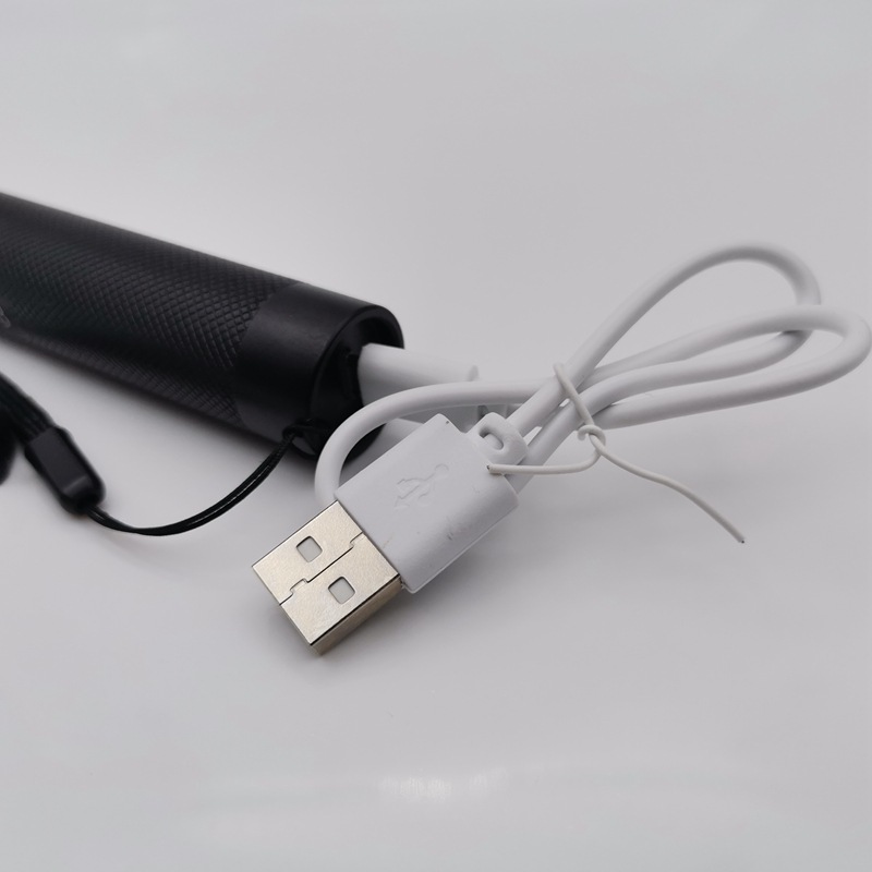 Usb303 Green Light Indicator Laser Laser Flashlight Direct Charge Built-In Battery Single-Point Long-Range Sales Coach Light Application Scenario