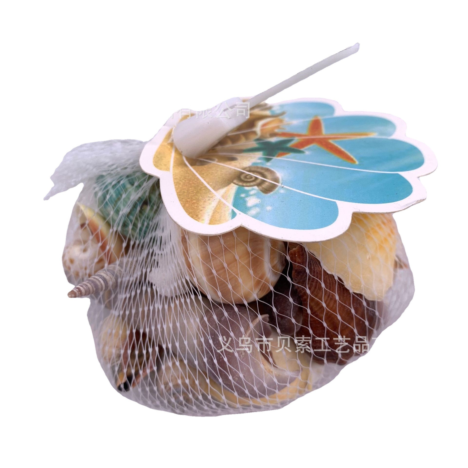 现货天然贝壳海螺海星 鱼缸造景装饰贝壳海螺批发风铃DIY工艺品详情图3