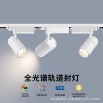led track light spot light Home sky light clothing store commercial background wall COB spotlight super bright home guide light