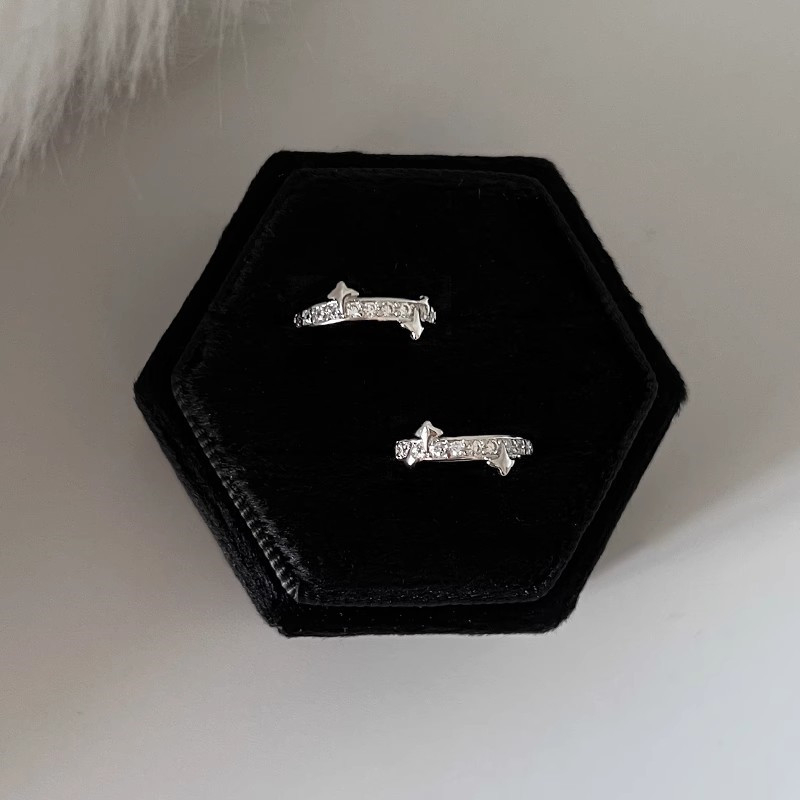 High-end matte, exquisite and compact ear rings, ear buckles, unique earrings, 2023 new trendy bestsellers, earrings and stud earrings Application Scenario