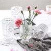 French light luxury glass vases, transparent water-grown flower vases, European-style dining table and living room decorative items, BT series details Picture