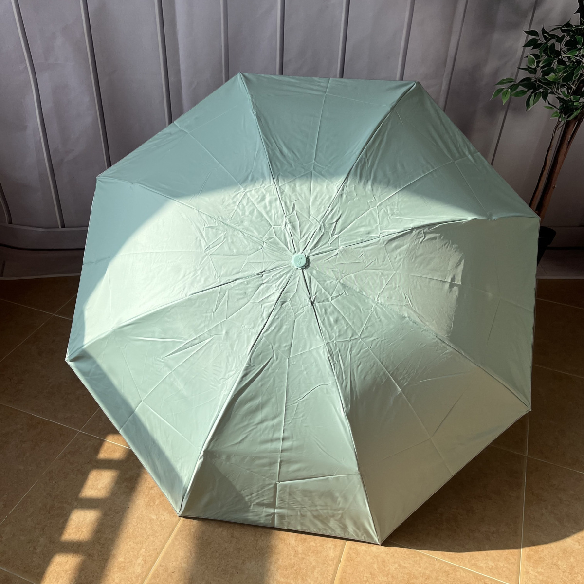 晴雨伞实物图