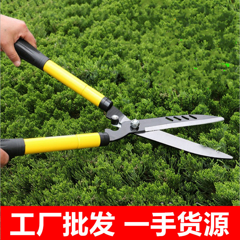 Sk5 Steel Pruning Shears Lawn Pruning Flowers And Flowers Pruning Garden Gardening Greening Hedge Hedge Fruit Tree Branch Shears