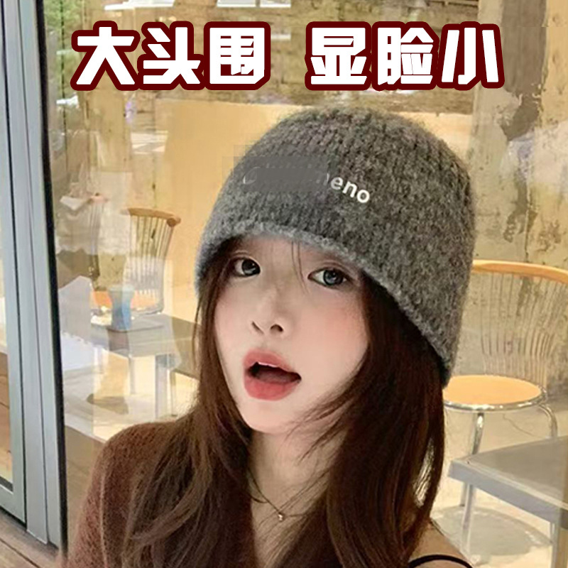 Winter Korean-style knitted hats for men and women, autumn and winter cold hats, warm, casual and versatile, letter label woolen hats, windproof and cold-proof