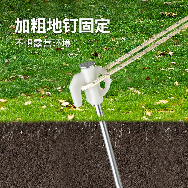 import细节图