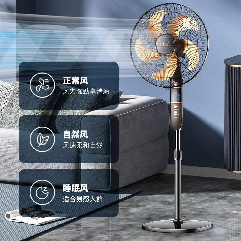 import细节图