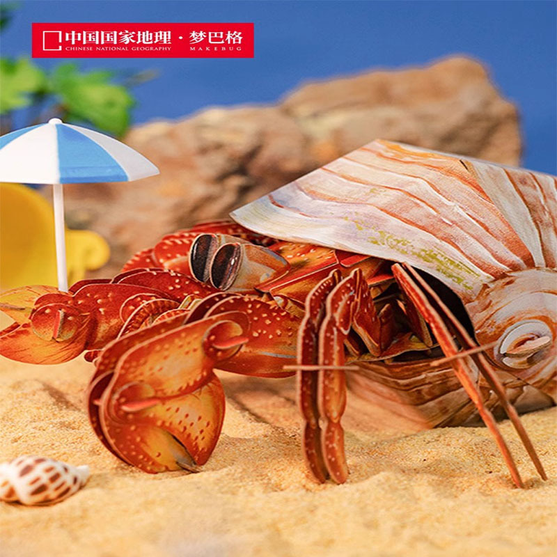 拼图/七巧板拼图/拼板/科学材料/芭蕾主题拼图细节图