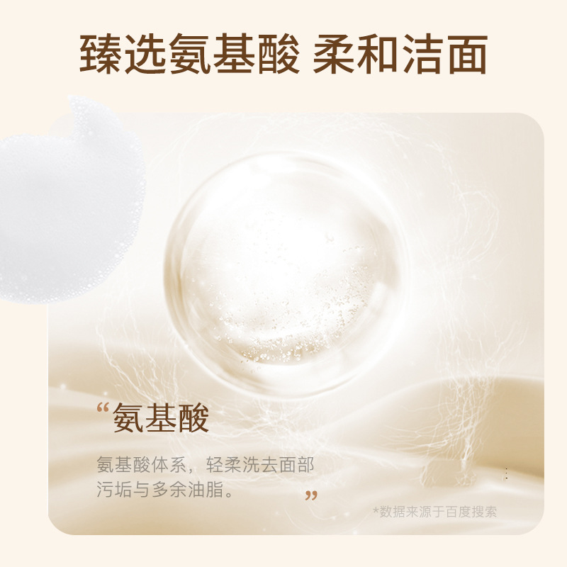 Amino Acid Facial Cleanser, Blackhead Remover, Exfoliating Foam Facial Cleanser, 500G Deep Cleansing Facial Cleanser Wholesale details Picture