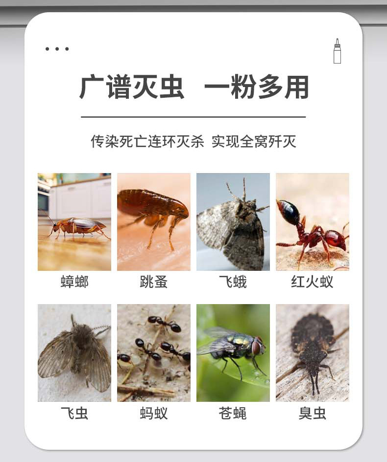 黑杀手蟑螂药粉剂全锅端家用强力一锅端爬虫药呋虫胺灭蚂蚁蟑螂粉详情7