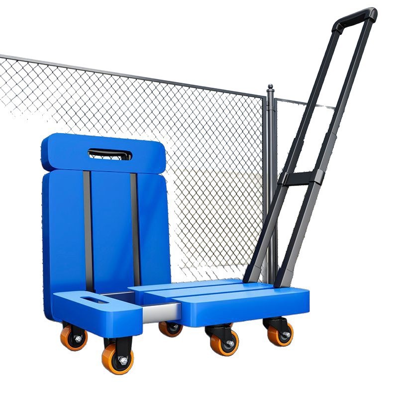 import白底实物图