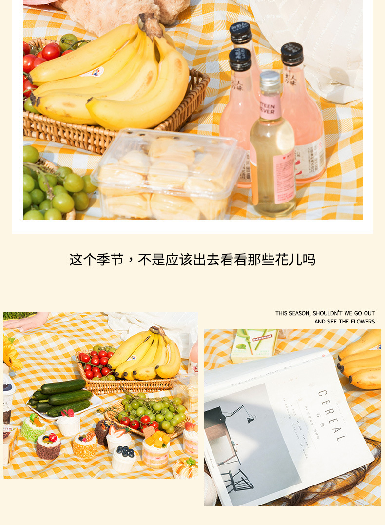 Picnic mat, moisture-proof pad, thickened waterproof, portable, foldable picnic blanket for spring outings and excursions, outdoor camping picnic equipment Item Picture
