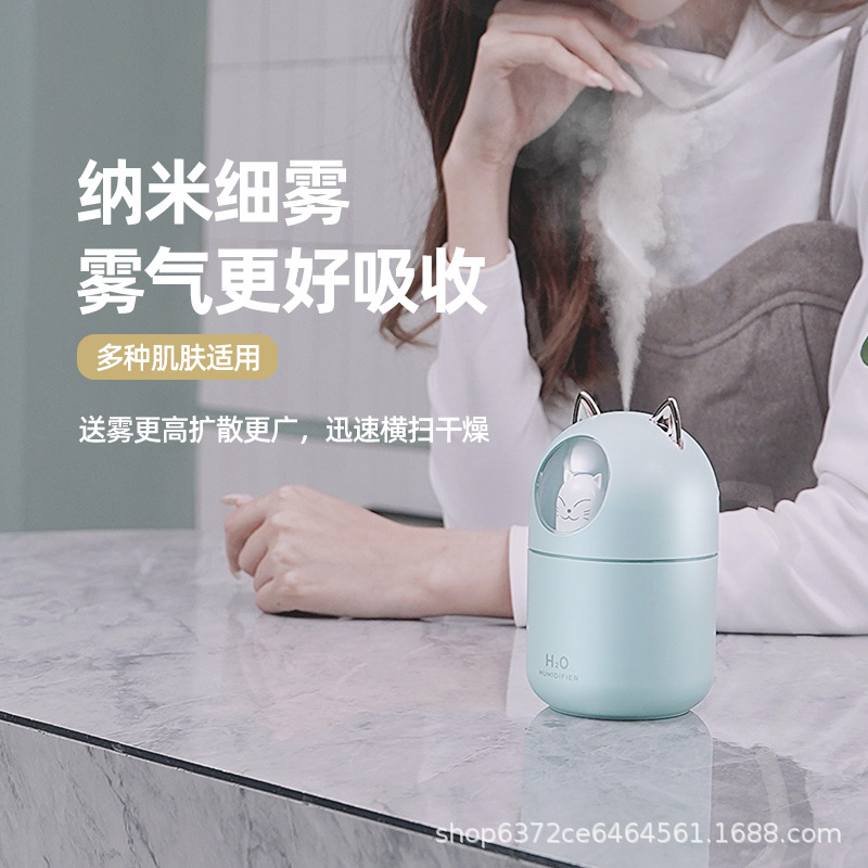 New Pet Humidifier Usb Home Car Mini Water Supply Small Dazzling Aromatherapy Machine Humidifier Gift Application Scenario