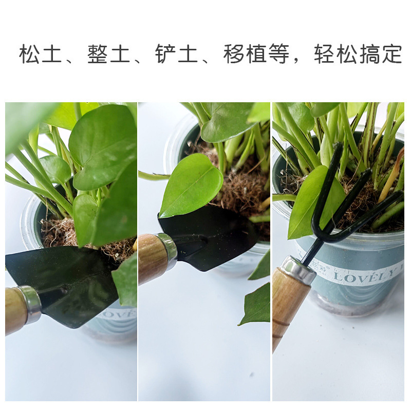 Mini flower-planting tools, triangular set, shovel, soil-digging, household soil-loosening small shovel, flower-planting shovel details Picture