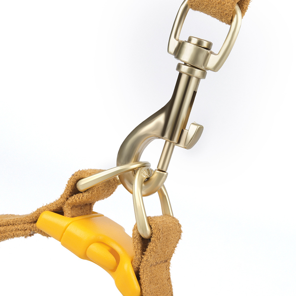 Pet chest and back leash, vest style dog outdoor leash, three-piece set, collar, cat small dog walking leash Specification image