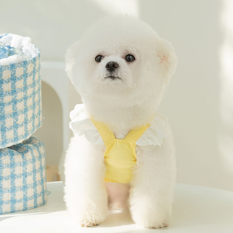 Spring and summer new puppy lace chiffon dress, Teddy Bichon Mini dog bow pet clothing Application Scenario