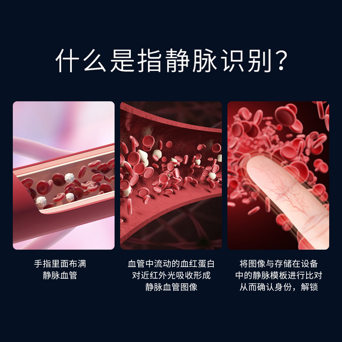 Because Shuo Manufacturers Automatic Finger Vein Fingerprint Lock Home 3D Face Recognition Intelligent Electronic Wholesale Visual Cat Eye details Picture