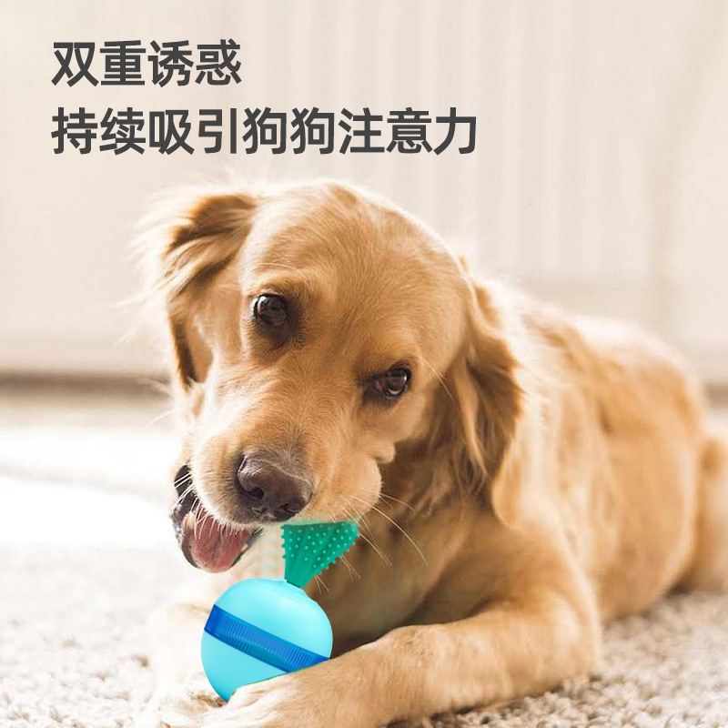 Dog Puzzle fun toy Pet automatic feeder Pet dog leaky food tumbler cat Amazon new products Specification drawing