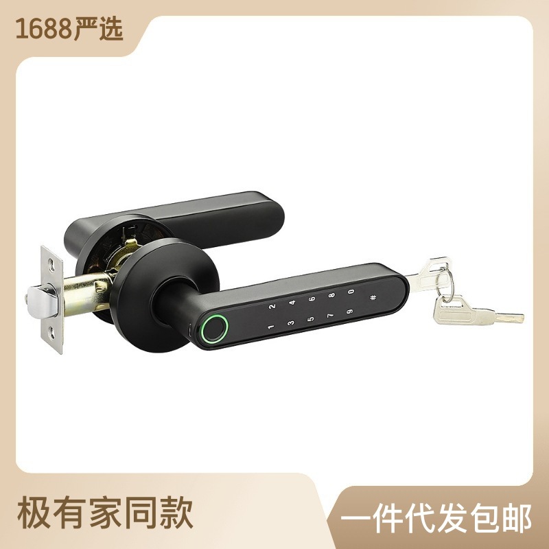 房门室内指纹锁卧室门指纹锁双面指纹球形指纹锁智能门锁