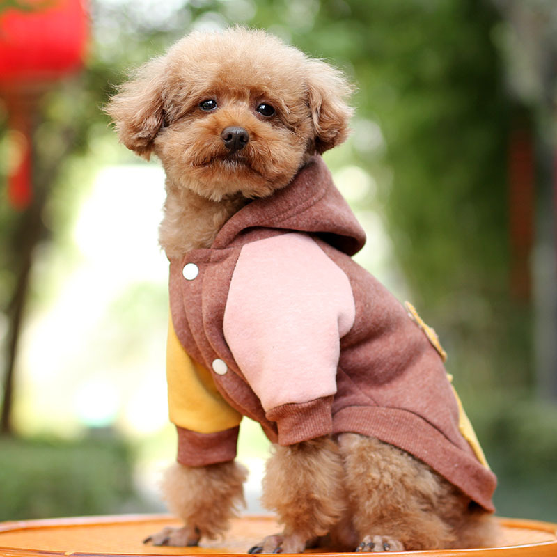 狗狗服装实物图