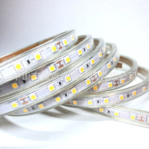 LED低压灯带 室外防雨亮化使用DC24V包胶注塑全铜导线高亮灯条43