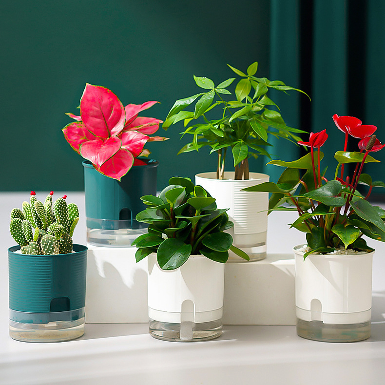 透明塑料水培花盆绿萝花卉自吸水懒人小花盆阳台室内植物水养盆器详情图1