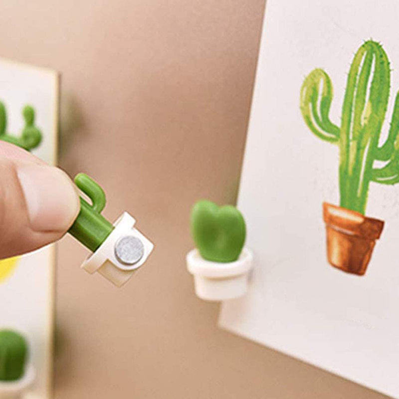 Cactus ball fridge magnets Item Picture