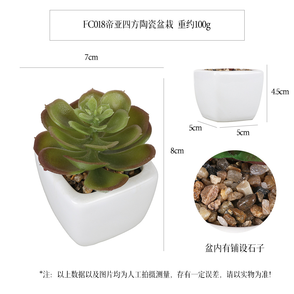 Amazon Succulent Square Ceramic Pot 6-piece Home Decoration plant succulent bonsai set Item Picture