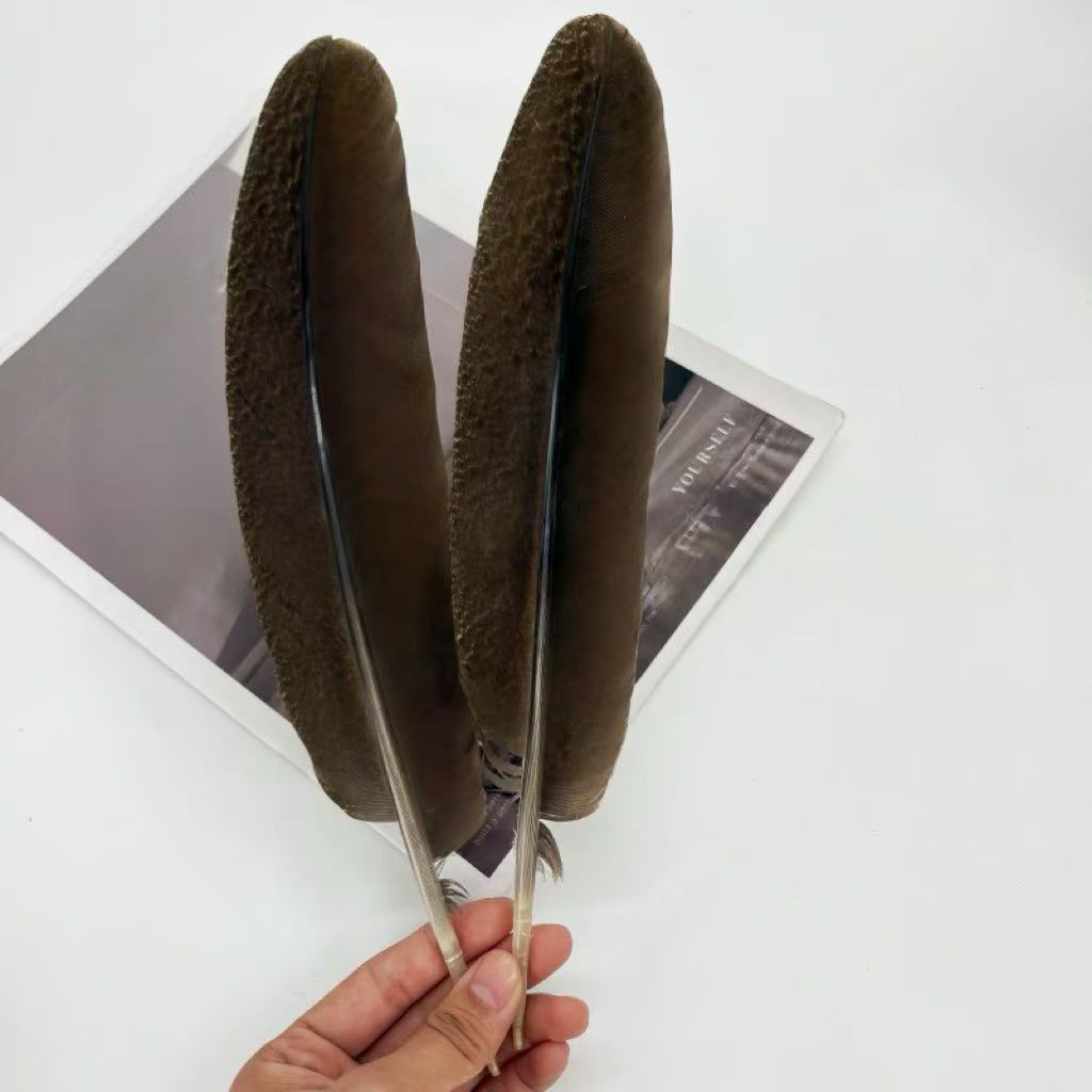 羽毛/火鸡毛/森尔服装/鹅毛/火鸡羽毛条细节图