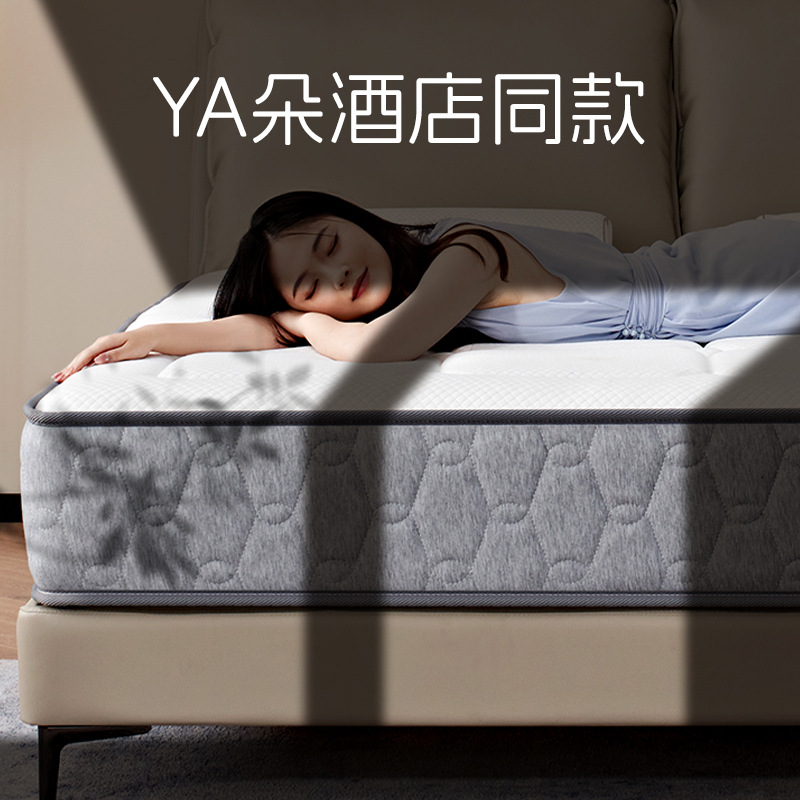 New fashionable 3D stereoscopic mattress with thickened spring mattress for home use details Picture