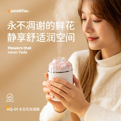 Humidifier Home Mute Fog Amount Usb Small Portable Charging Bedroom Office Water Supply Original Wholesale H
