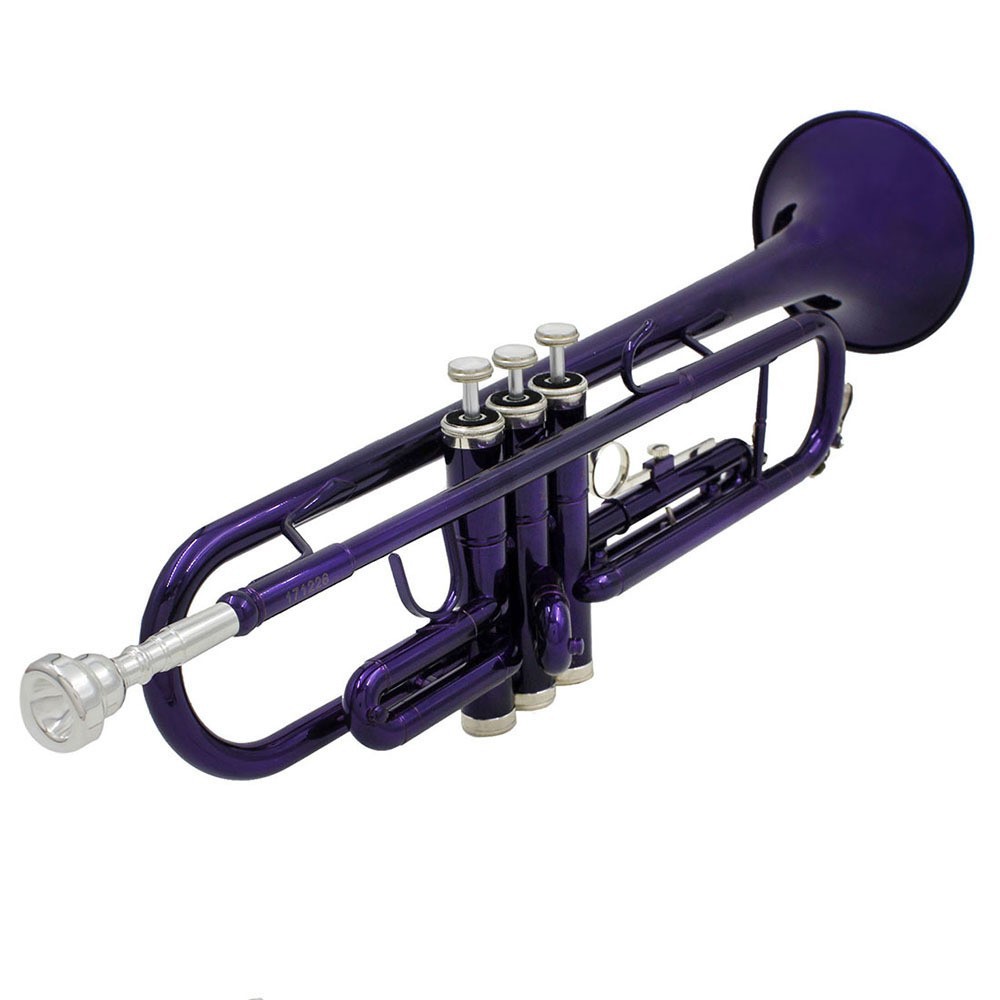 中低音号/民族乐器/saxophone/卡祖笛/口风琴白底实物图