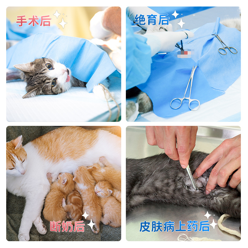 Dog and cat sterilization clothing, anti-shedding and anti-scratching, postoperative breathable weaning clothing, adjustable cat clothes, pet sterilization clothing details Picture