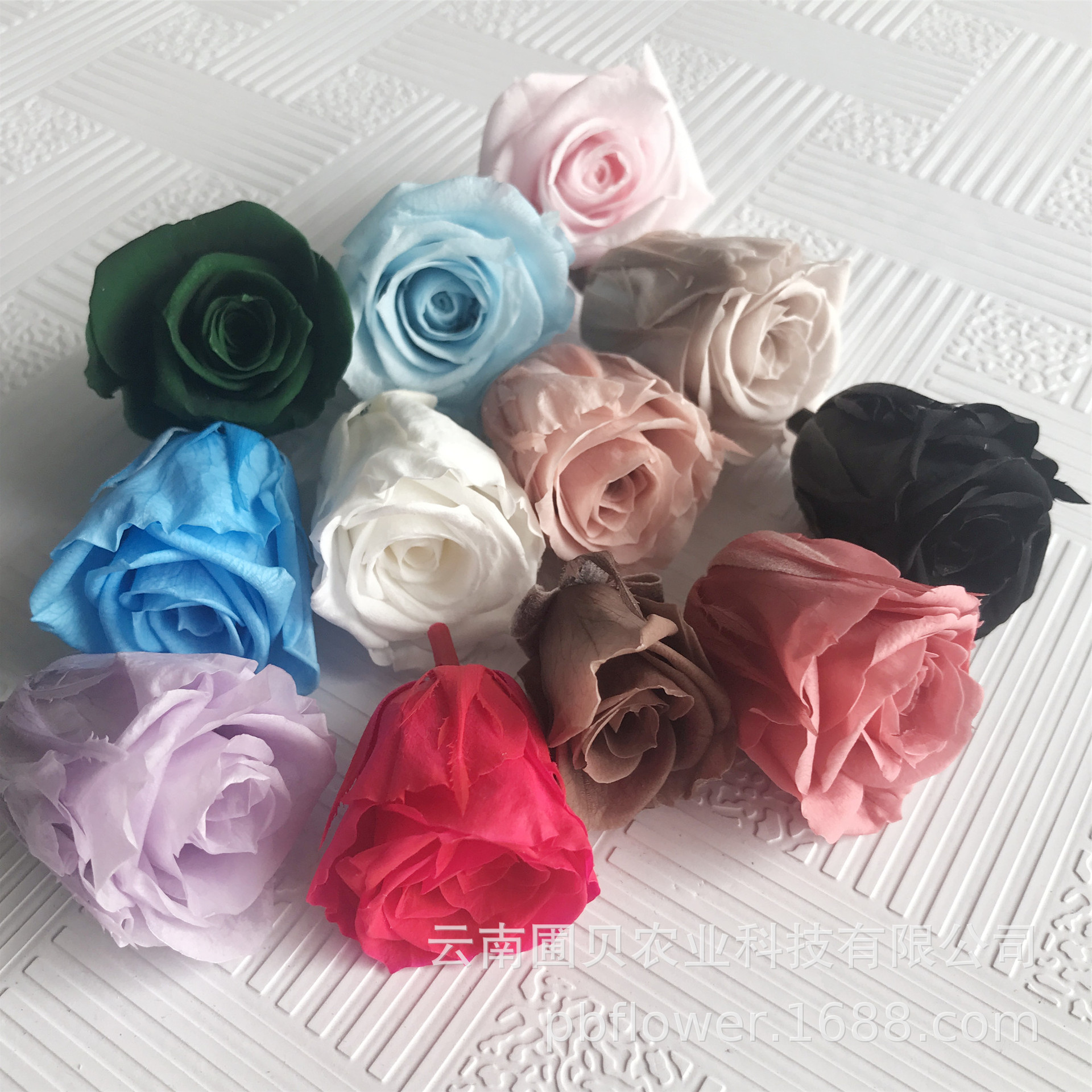 Yunnan florista clase B recomendación immortal flor rosa cabeza de flor maleta immortal flor DIY material multicolor stock al por mayor Application Scenario