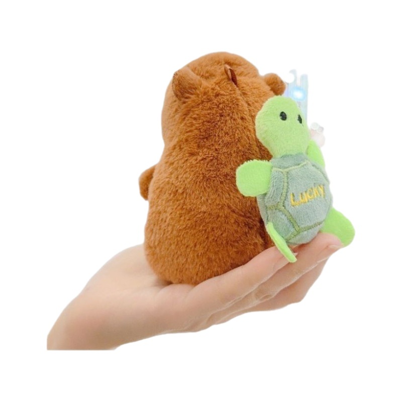 import白底实物图