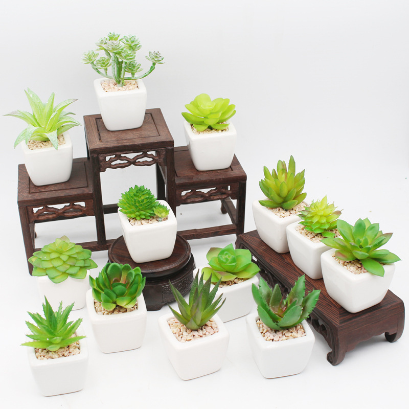 仿真花瓣实物图