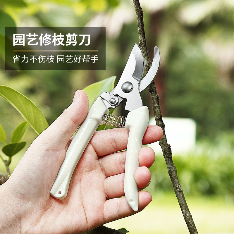 import细节图