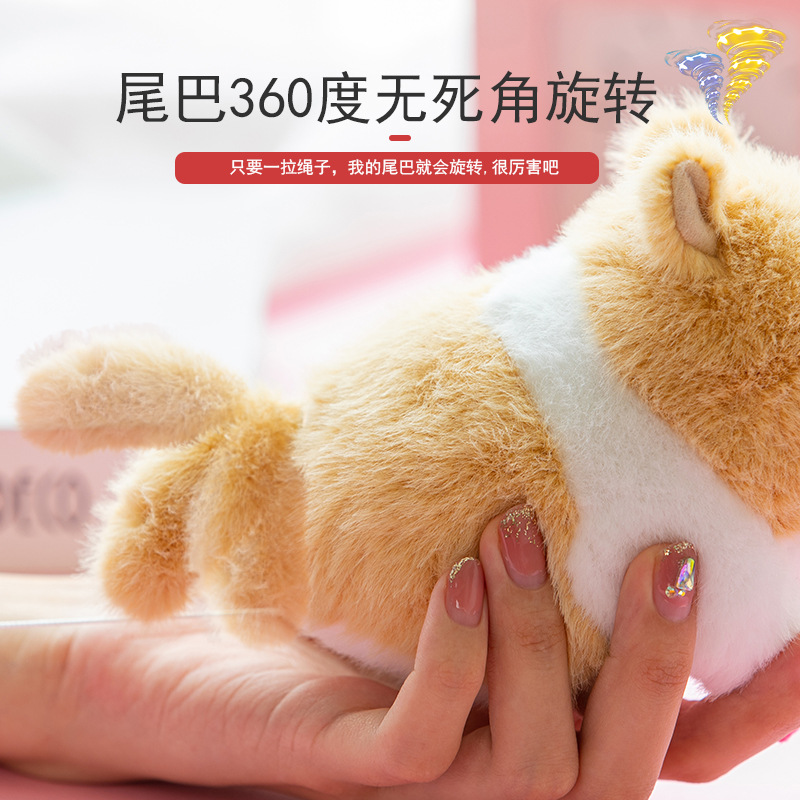 毛绒公仔、玩偶、娃娃实物图