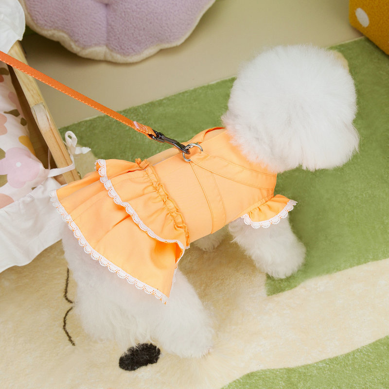 猫猫服饰实物图