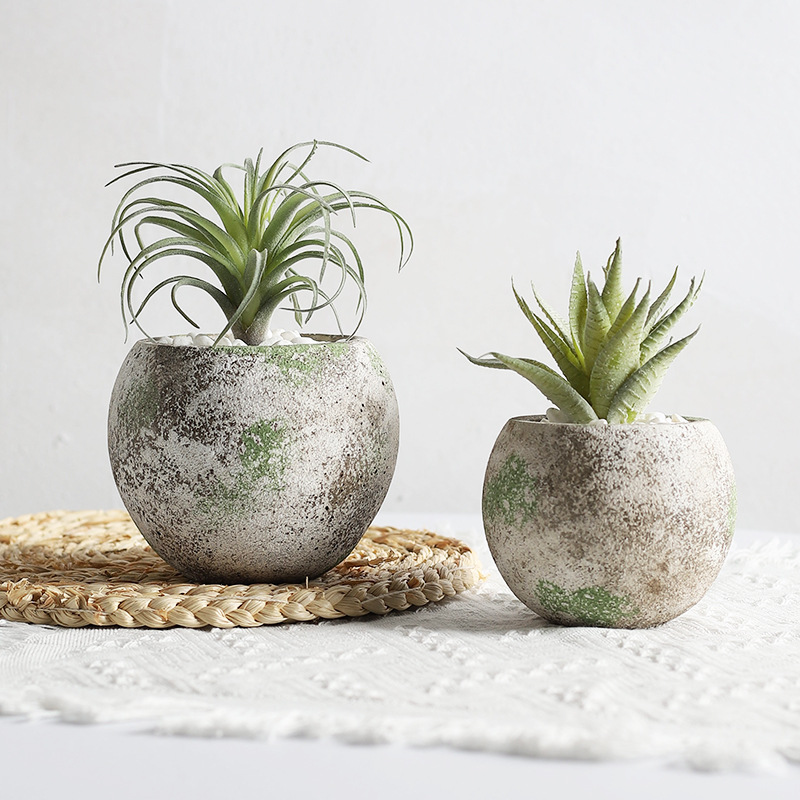 New Cement Succulent Flower Pot Moss Color To Do Old Retro Gardening Ornaments Succulent Green Plant Planter Wholesale Stock details Picture