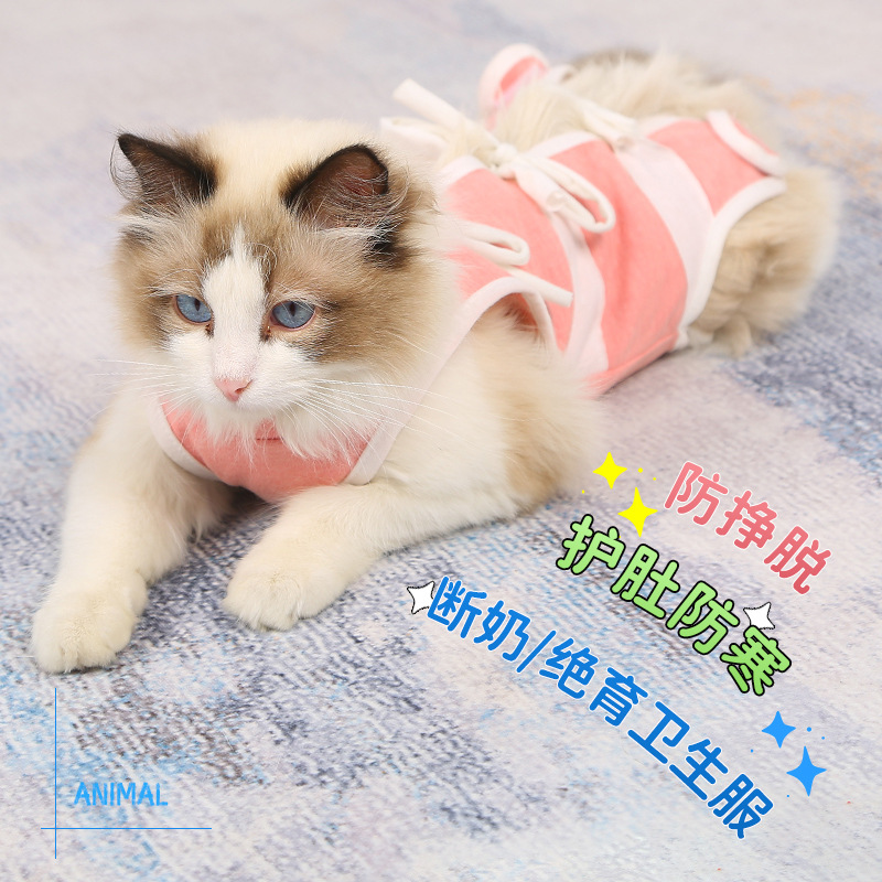 猫猫服饰实物图