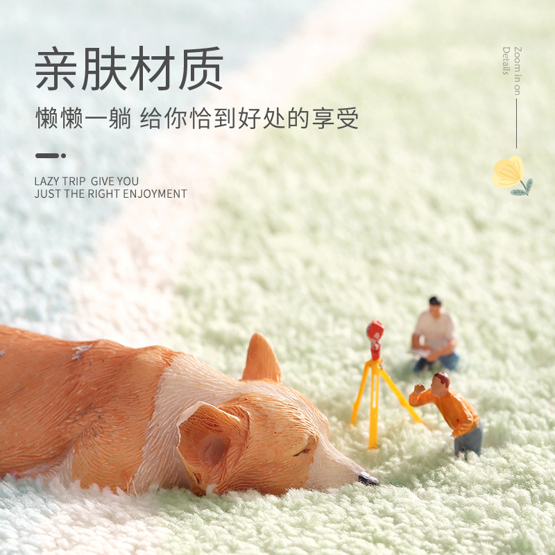 客厅茶几地毯/衣帽间地垫/床边毯细节图