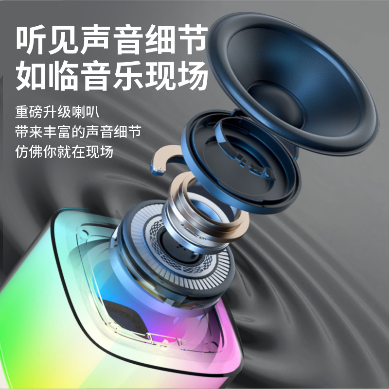 T7双唛无线蓝牙手提音响带话筒麦克风 K歌神器音箱家用便携式影音详情图4