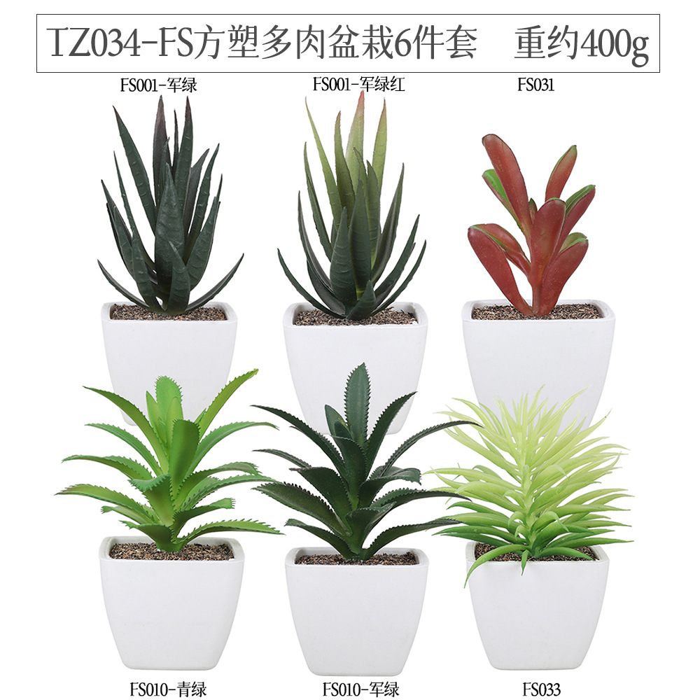 Amazon Succulent square plastic pot 6-piece home decoration plant succulent bonsai set